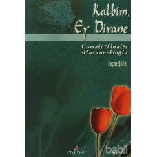 Kalbim, Ey Divane